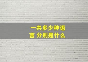 一共多少种语言 分别是什么